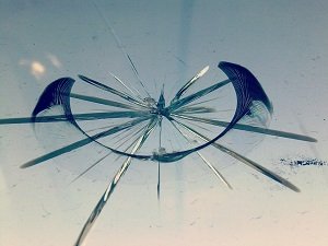 Windshield Repair